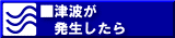 Ôg