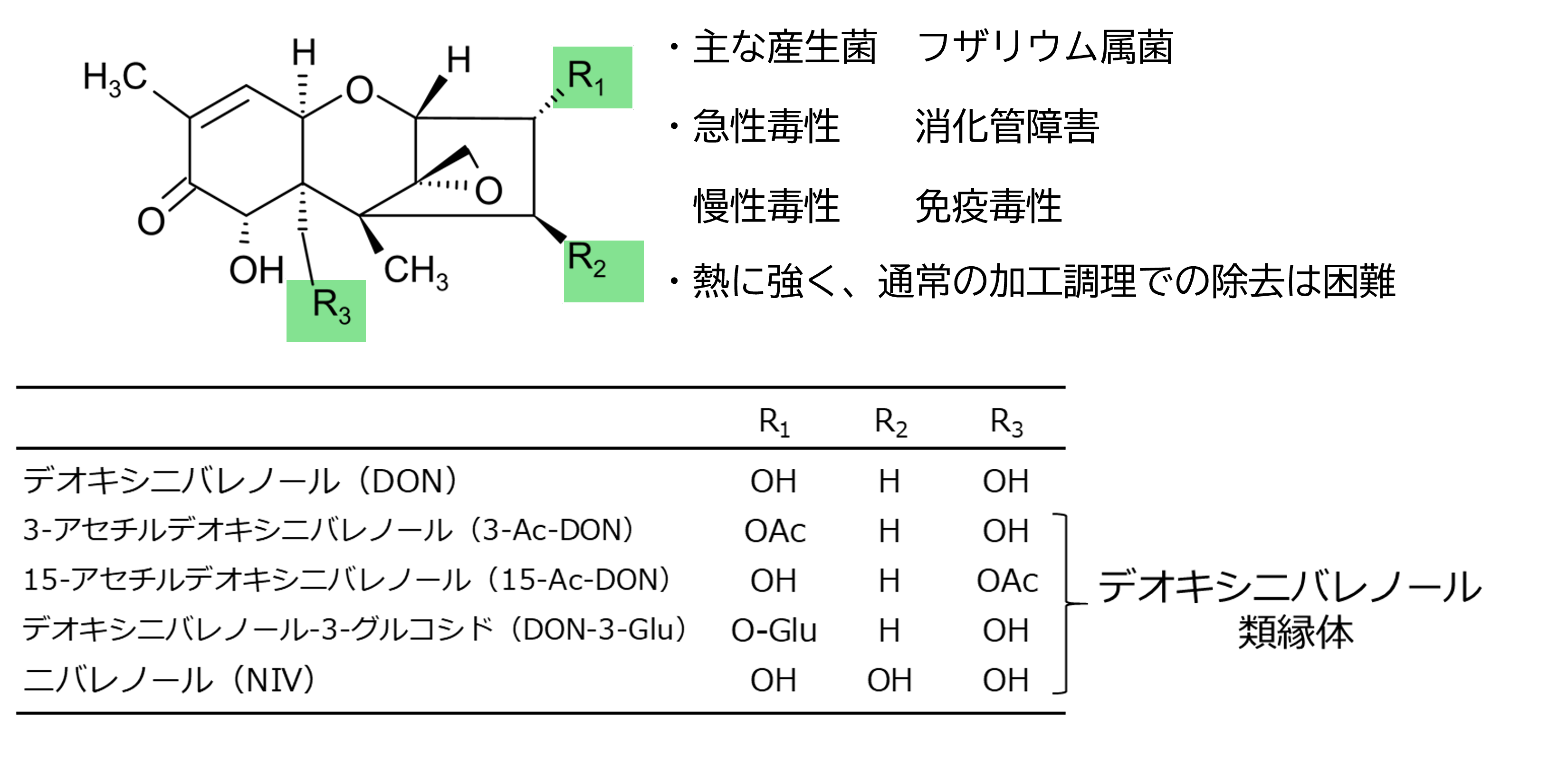 DON�y�т��̗މ��̂̍\����