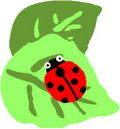 テントウ虫のイラスト