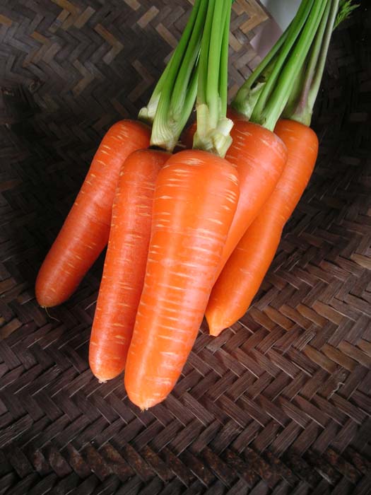 野菜の写真