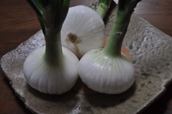 野菜の写真