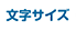 文字サイズ