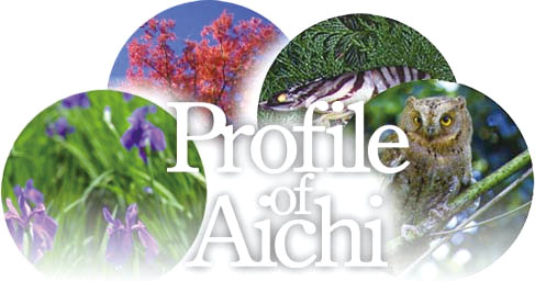 Profile of Aichi