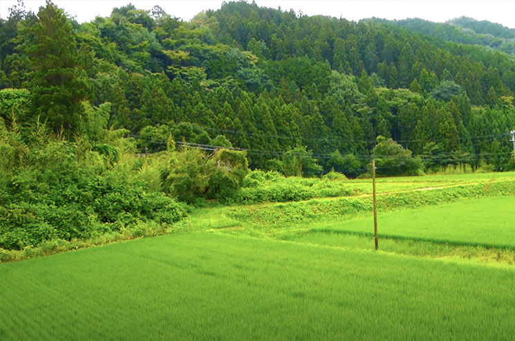 山の風景の写真