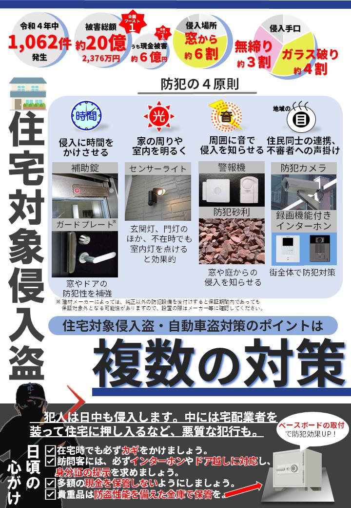 anan2.JPG