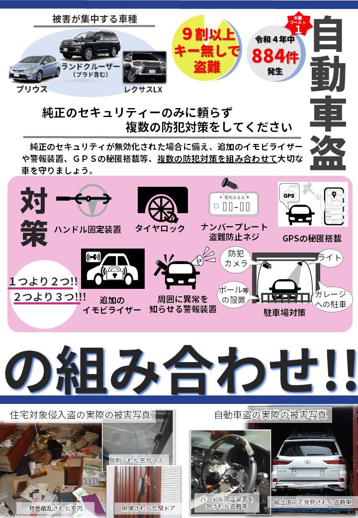 anan3.JPG