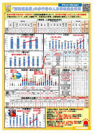 nishibiwajimahokousyajiko06.JPG