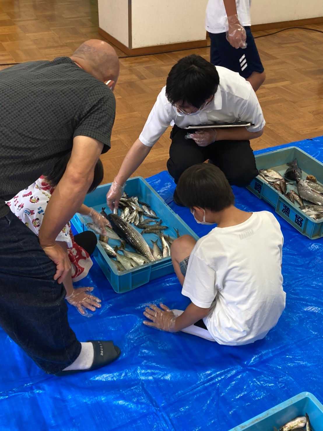 魚食の伝道師