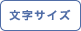 文字サイズ変更