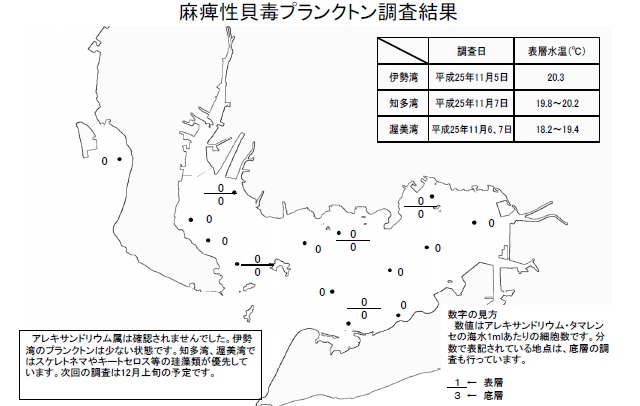 麻痺性貝毒原因プランクトン調査結果（平成25年11月7日）