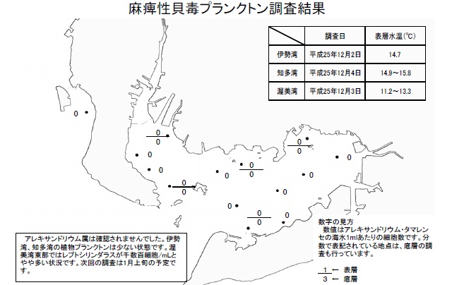 麻痺性貝毒原因プランクトン調査結果（平成25年12月4日）