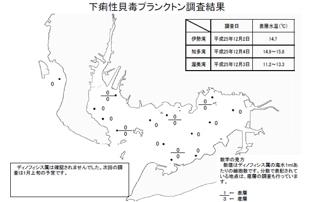 下痢性貝毒原因プランクトン調査結果（平成25年12月4日） 