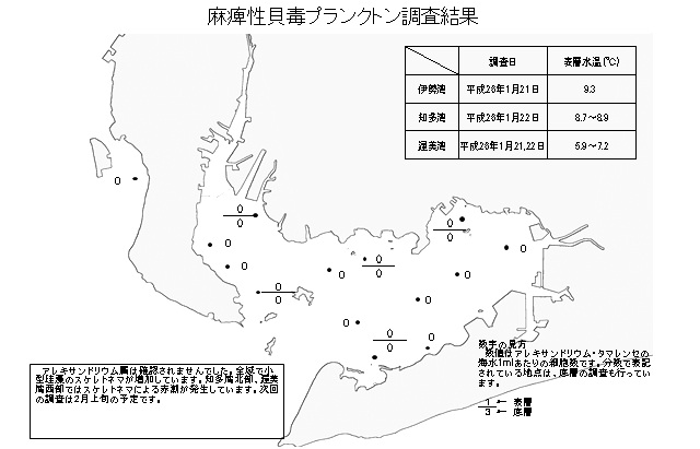 麻痺性貝毒原因プランクトン調査結果（平成26年1月22日）