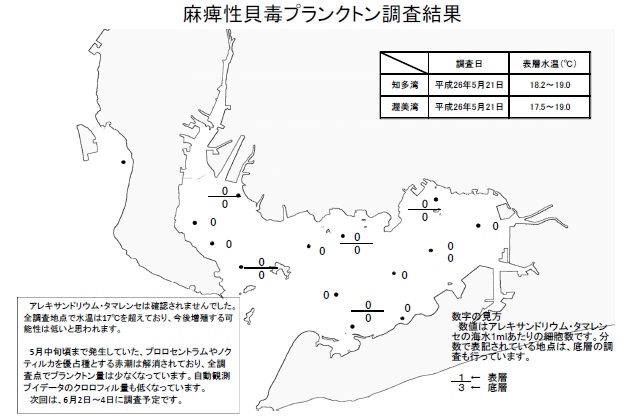 麻痺性貝毒原因プランクトン調査結果（平成26年5月21日）