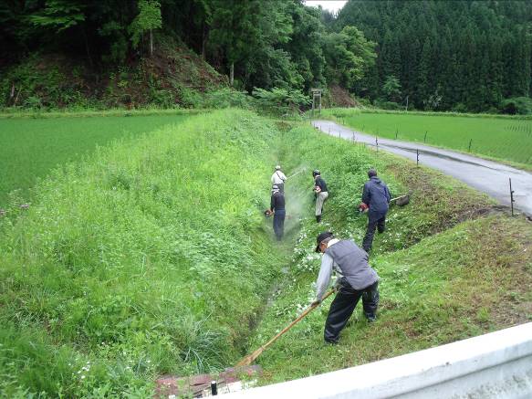 耕作放棄を防止する活動(農地法面の草刈り)の様子