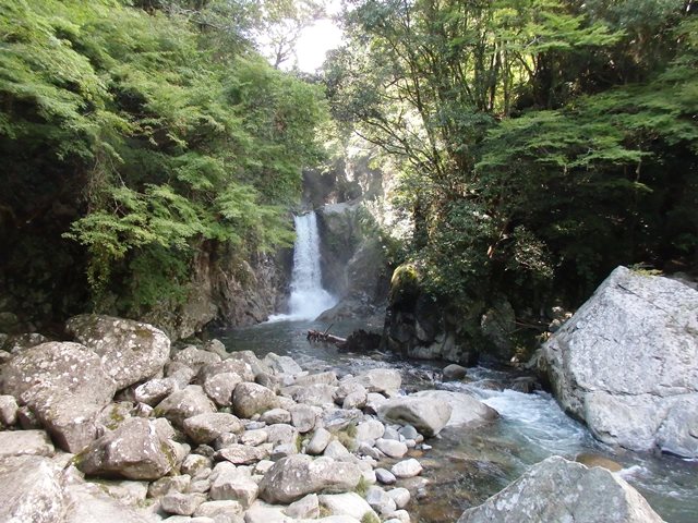 全景