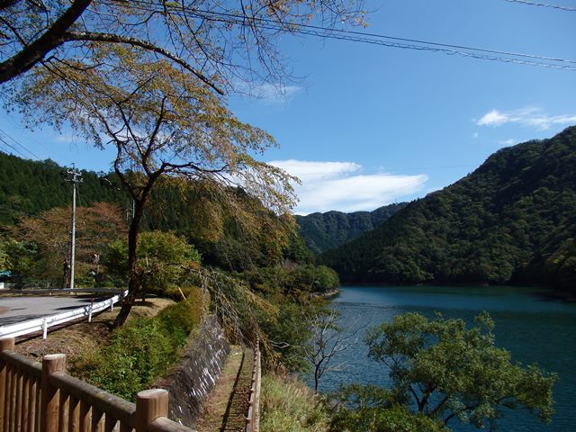 みどり湖周辺