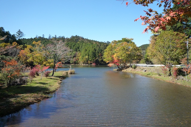 段戸湖の紅葉