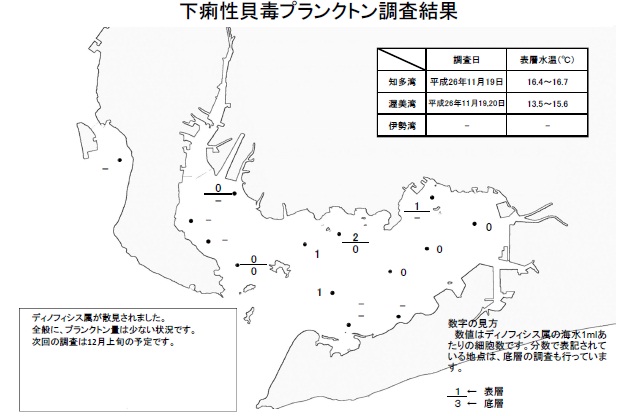 下痢性貝毒原因プランクトン調査結果（平成26年11月19～20日） 