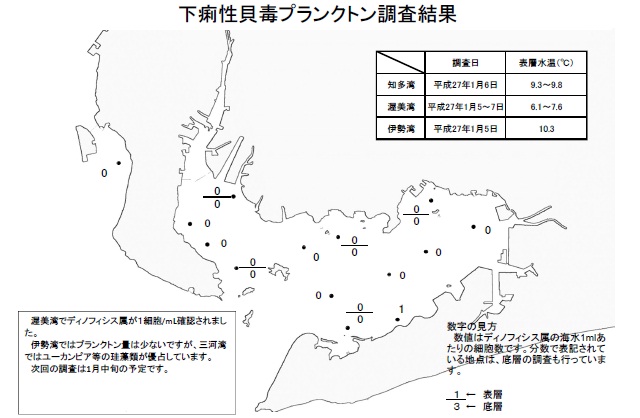 下痢性貝毒原因プランクトン調査結果（平成27年1月5～7日） 