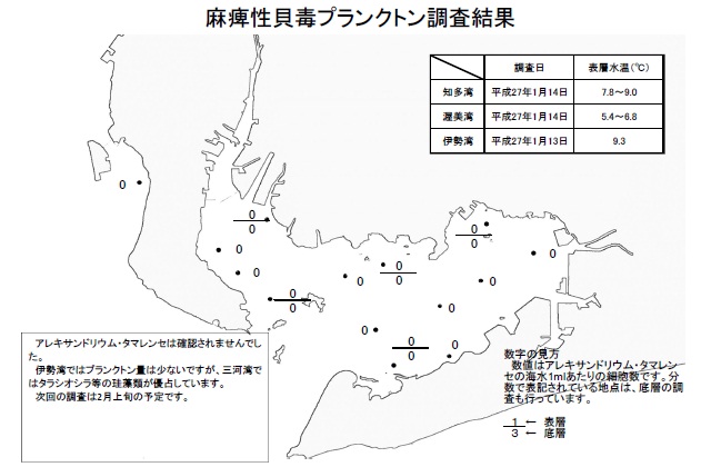 麻痺性貝毒原因プランクトン調査結果（平成27年1月13～14日）