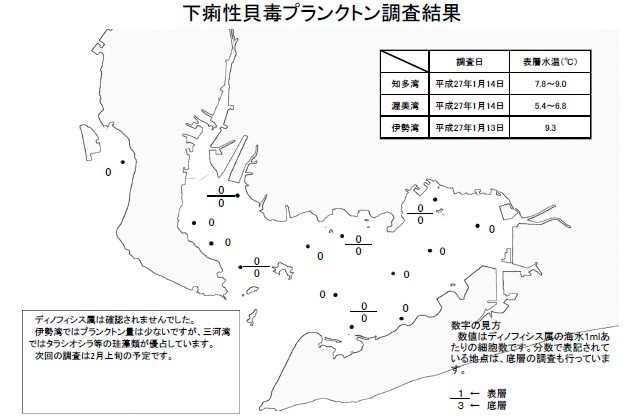 下痢性貝毒原因プランクトン調査結果（平成27年1月13～14日） 