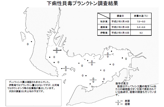 下痢性貝毒原因プランクトン調査結果（平成27年1月13～14日） 