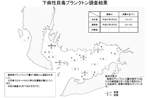 下痢性貝毒原因プランクトン調査結果（平成27年2月5日） 