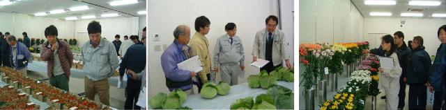 農産物品評会の審査の様子