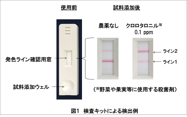 検査キットによる検出例