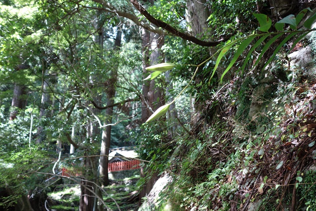 東照宮近くのヤマユリ