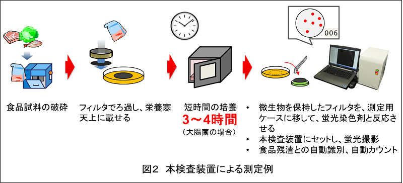 図2 本検査装置による測定例