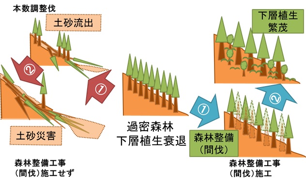 森林整備2