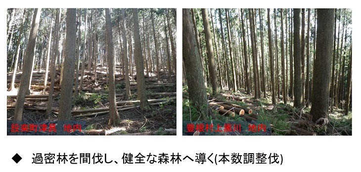 森林整備