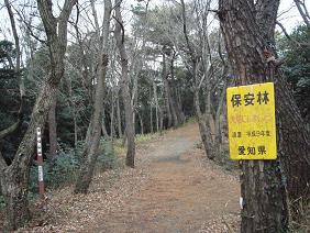 整備された保安林