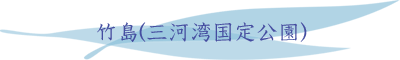竹島(三河湾国定公園)