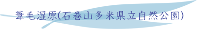 葦毛湿原(石巻山多米県立自然公園)