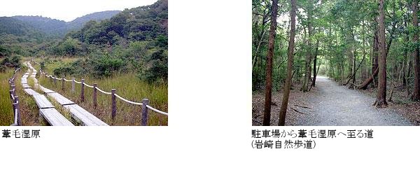 葦毛湿原 駐車場から葦毛湿原へ至る道