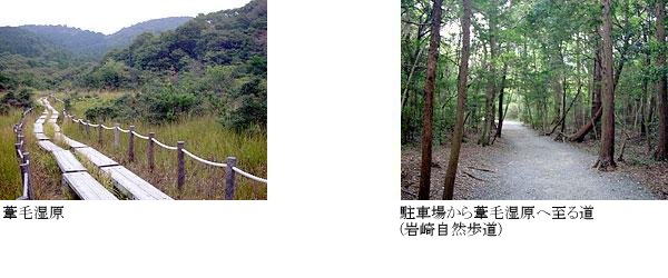 葦毛湿原　駐車場から葦毛湿原へ至る道