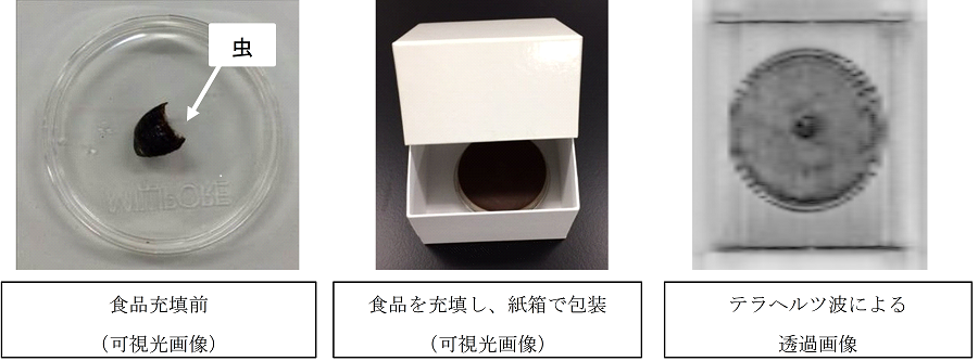 図3: 本検査装置による検出事例(食品に虫が混入したサンプル例)