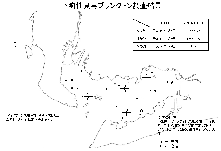 下痢性貝毒プランクトン160106