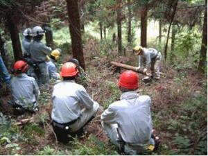 林業新規就業者の研修