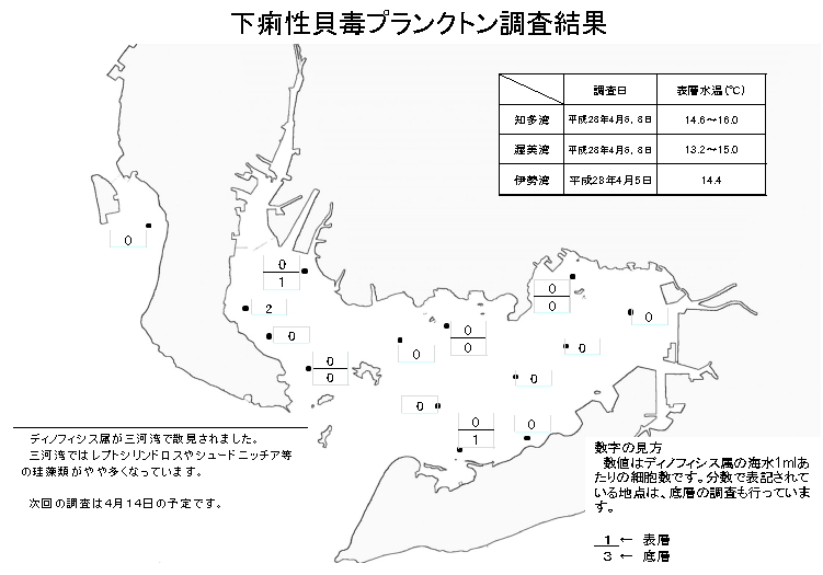 下痢性貝毒プランクトン調査結果20160408