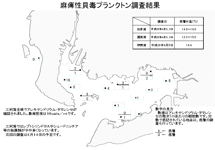 麻痺性貝毒プランクトン調査結果20160408