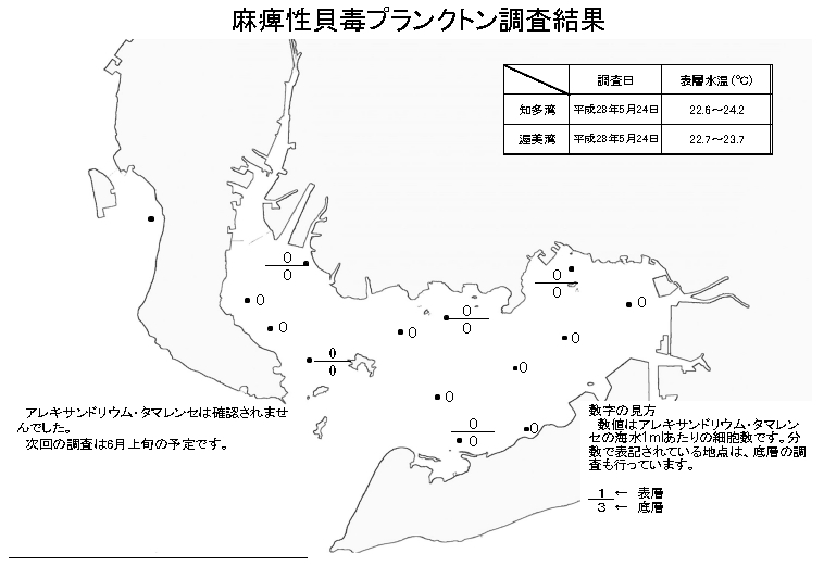 麻痺性貝毒プランクトン調査結果20160524