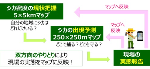 やるシカない！イメージ図