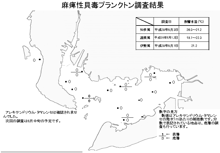 麻痺性貝毒プランクトン調査結果20160607