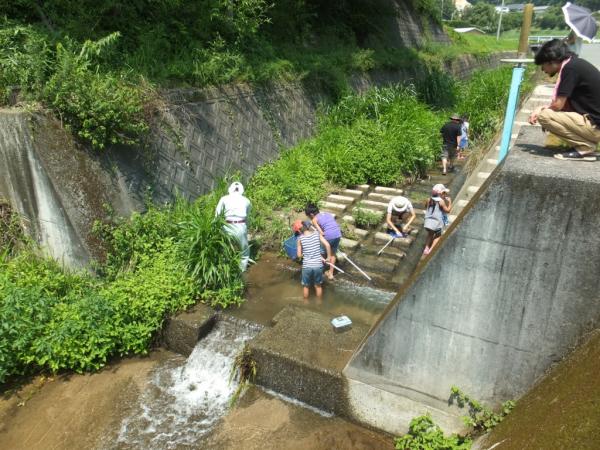 生き物調査実施状況