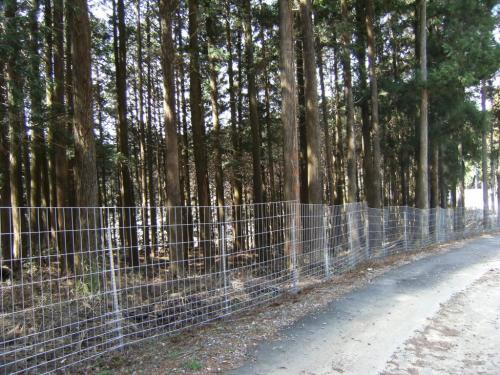 侵入防止柵