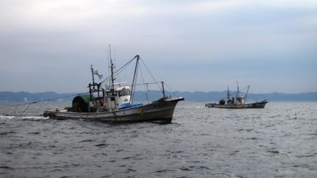 2隻の漁船が網をひいて、いかなご船びき網漁業を操業している写真です